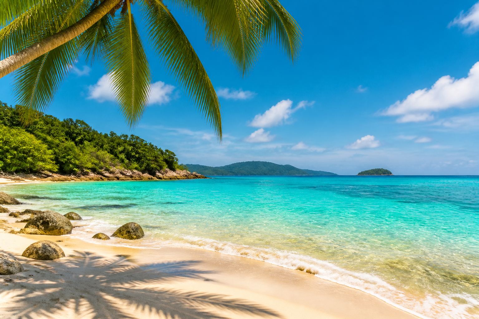 Relaxed beach vibes with palm trees and turquoise water